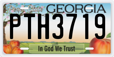 GA license plate PTH3719
