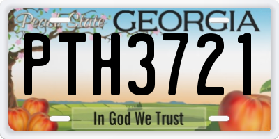 GA license plate PTH3721