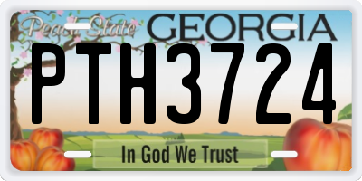 GA license plate PTH3724