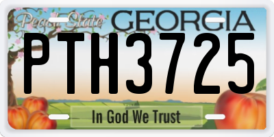 GA license plate PTH3725