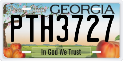 GA license plate PTH3727