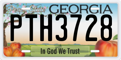 GA license plate PTH3728