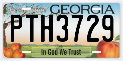 GA license plate PTH3729