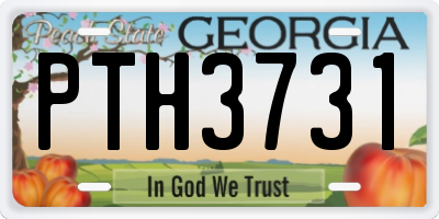 GA license plate PTH3731