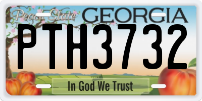 GA license plate PTH3732