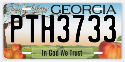 GA license plate PTH3733