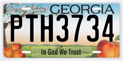 GA license plate PTH3734