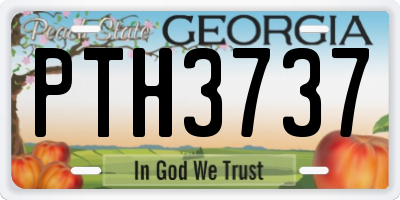 GA license plate PTH3737