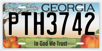 GA license plate PTH3742