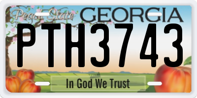 GA license plate PTH3743