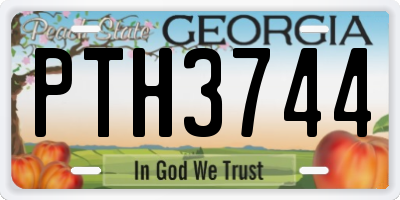 GA license plate PTH3744