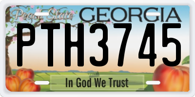 GA license plate PTH3745