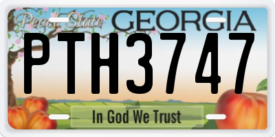 GA license plate PTH3747