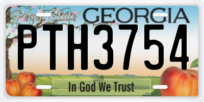 GA license plate PTH3754