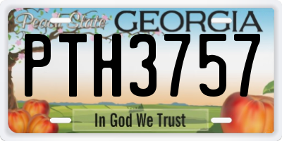 GA license plate PTH3757