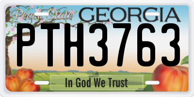 GA license plate PTH3763