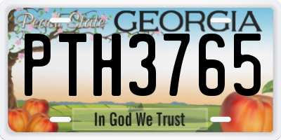 GA license plate PTH3765
