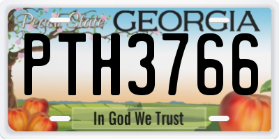 GA license plate PTH3766