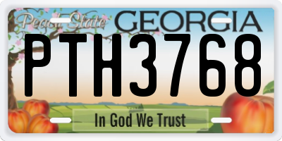 GA license plate PTH3768