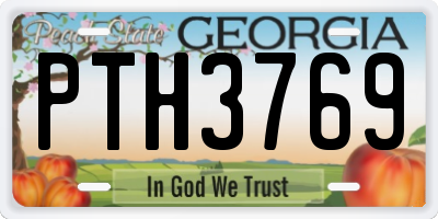 GA license plate PTH3769