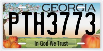 GA license plate PTH3773