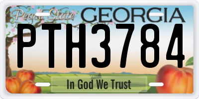 GA license plate PTH3784