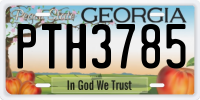 GA license plate PTH3785