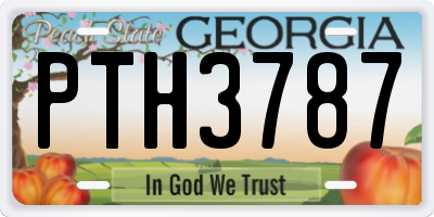 GA license plate PTH3787