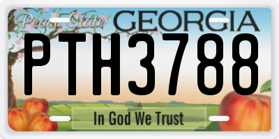 GA license plate PTH3788