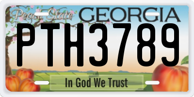 GA license plate PTH3789