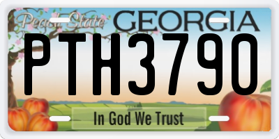 GA license plate PTH3790