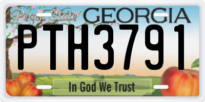 GA license plate PTH3791