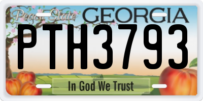 GA license plate PTH3793