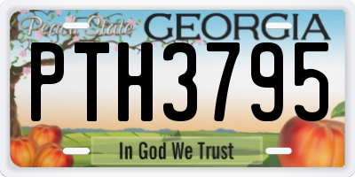 GA license plate PTH3795