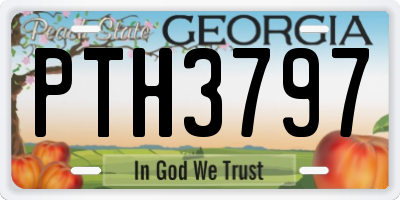 GA license plate PTH3797