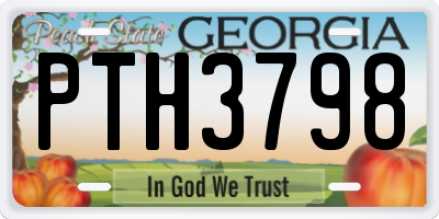 GA license plate PTH3798
