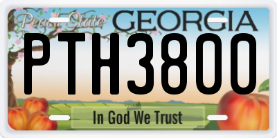 GA license plate PTH3800