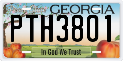 GA license plate PTH3801