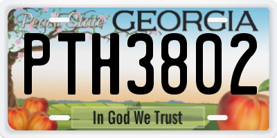 GA license plate PTH3802