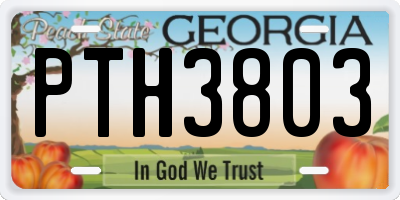 GA license plate PTH3803