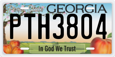 GA license plate PTH3804