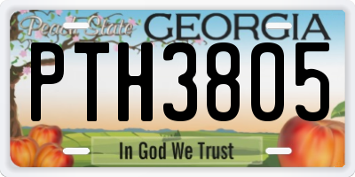 GA license plate PTH3805