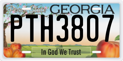 GA license plate PTH3807