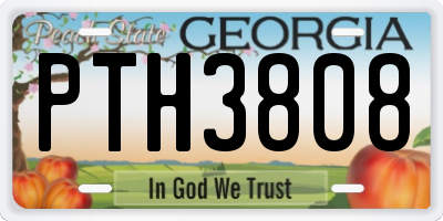 GA license plate PTH3808
