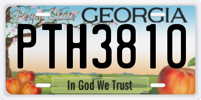GA license plate PTH3810