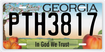 GA license plate PTH3817