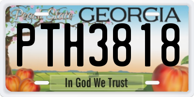GA license plate PTH3818
