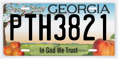 GA license plate PTH3821