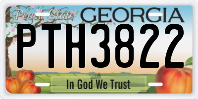 GA license plate PTH3822
