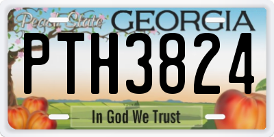 GA license plate PTH3824